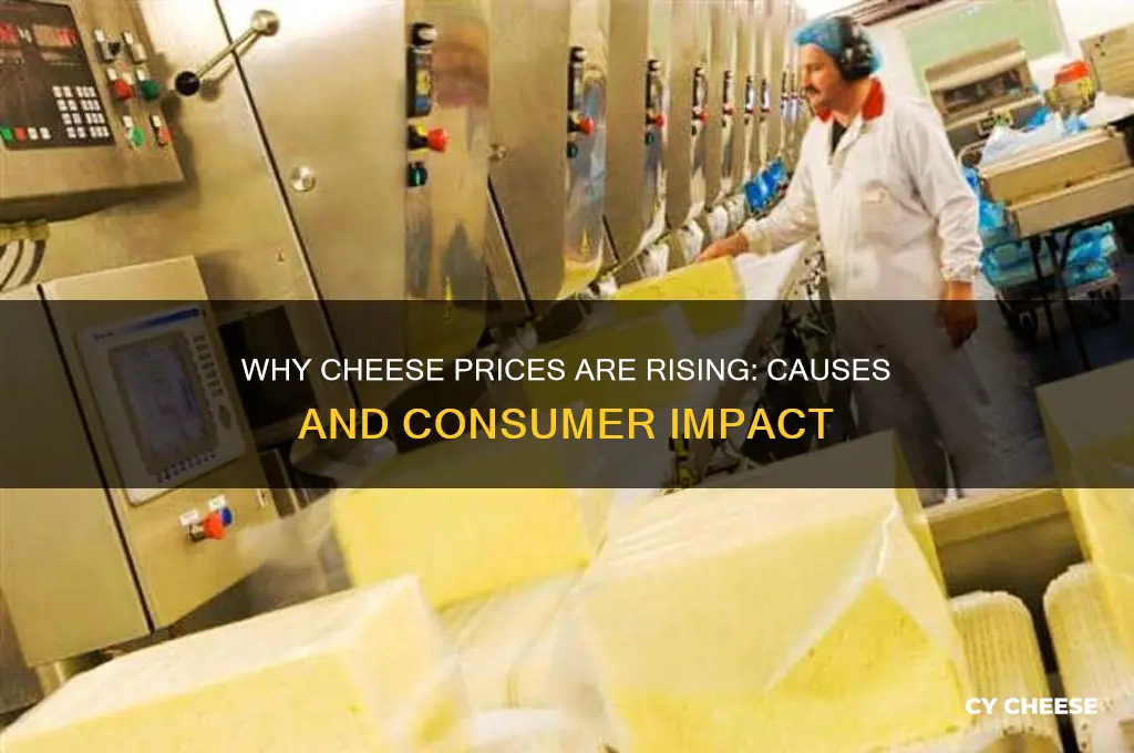 why is cheese going up
