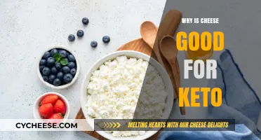 Cheese and Keto: A Perfect Match for Low-Carb Diets