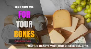 Cheese's Calcium Power: Strengthening Bones and Boosting Overall Health