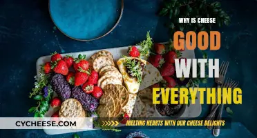 Cheese's Magic: Why It Elevates Every Dish to Perfection