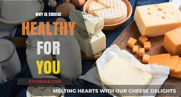 Cheese: Healthy, Nutritious, and Delicious