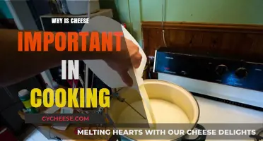 Cheese's Culinary Importance: Flavor, Texture, and Beyond