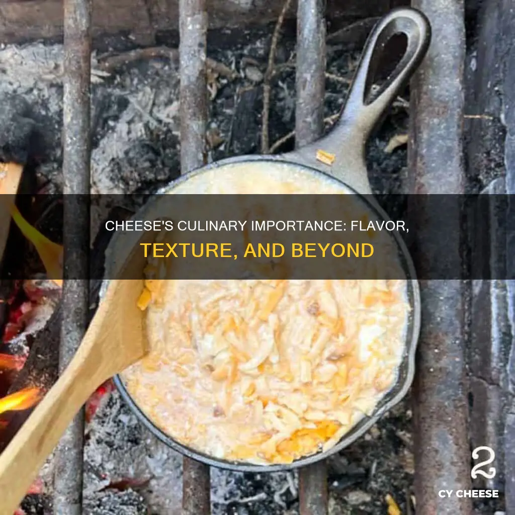 why is cheese important in cooking