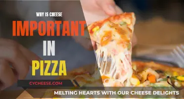 The Cheesy Delight: Unveiling Pizza's Essential Topping