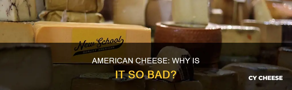 why is cheese in america so bad