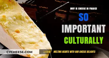 France's Cheese Legacy: A Cultural Icon Beyond the Plate
