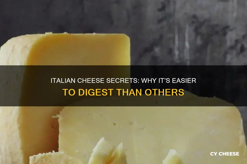 why is cheese in italy easier to digest