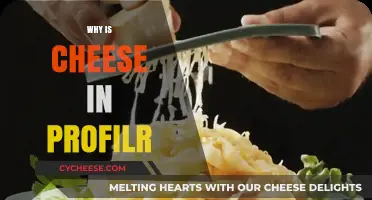 Why Cheese Appears in Your Profile: Uncovering the Unexpected Trend