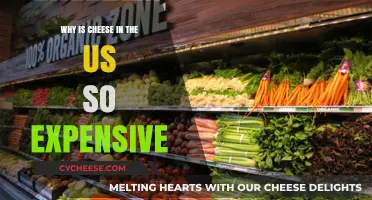 Why Is Cheese in the US So Expensive? Exploring the Costs