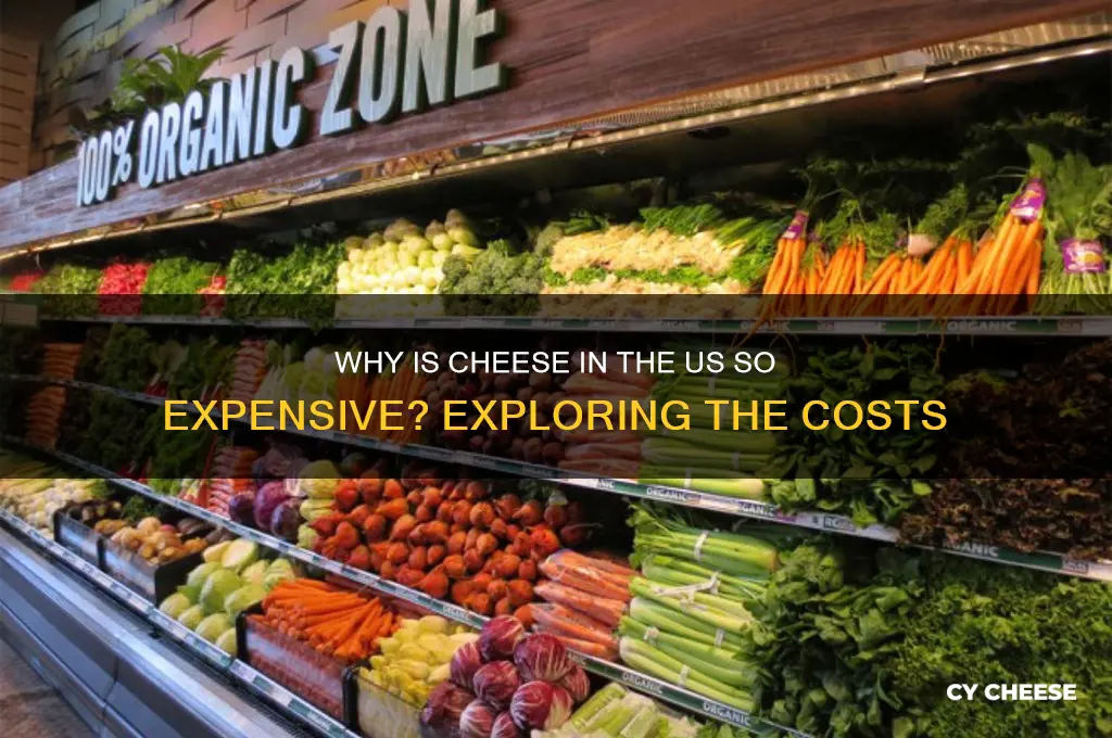 why is cheese in the us so expensive