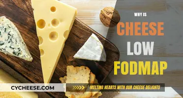 Understanding Why Cheese is Low FODMAP: A Digestive-Friendly Choice