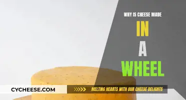 Cheese Wheel: A Historical and Practical Decision