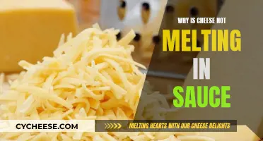 Cheese Not Melting: Tips for a Perfect Sauce
