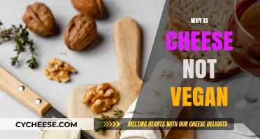 Why Cheese Isn't Vegan: Understanding Dairy and Plant-Based Alternatives