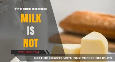 Cheese vs. Milk: Understanding Keto-Friendly Dairy Choices