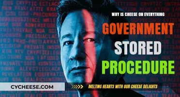 Cheese Everywhere: Uncovering Government Stored Procedure Secrets