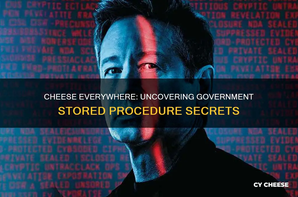why is cheese on everything government stored procedure