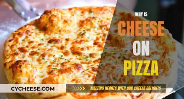 The Cheesy Delight: Unraveling the Magic of Pizza Toppings