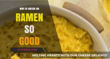 Cheesy Ramen Bliss: Unraveling the Irresistible Magic of Cheese on Noodles