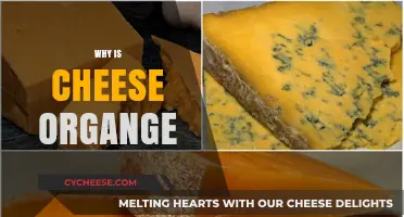 Why Is Cheese Orange? Uncovering the Surprising Truth Behind the Color