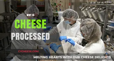 Why is Cheese Processed? Uncovering the Science Behind Your Favorite Dairy