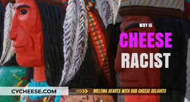 Cheese and Racial Bias: Uncovering the Surprising Cultural Stereotypes