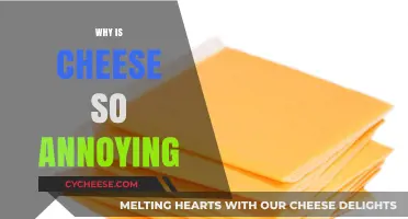 Why Cheese Grates on Nerves: Unraveling Its Annoying Appeal