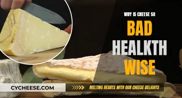 Cheese's Dark Side: Is It Really That Bad?