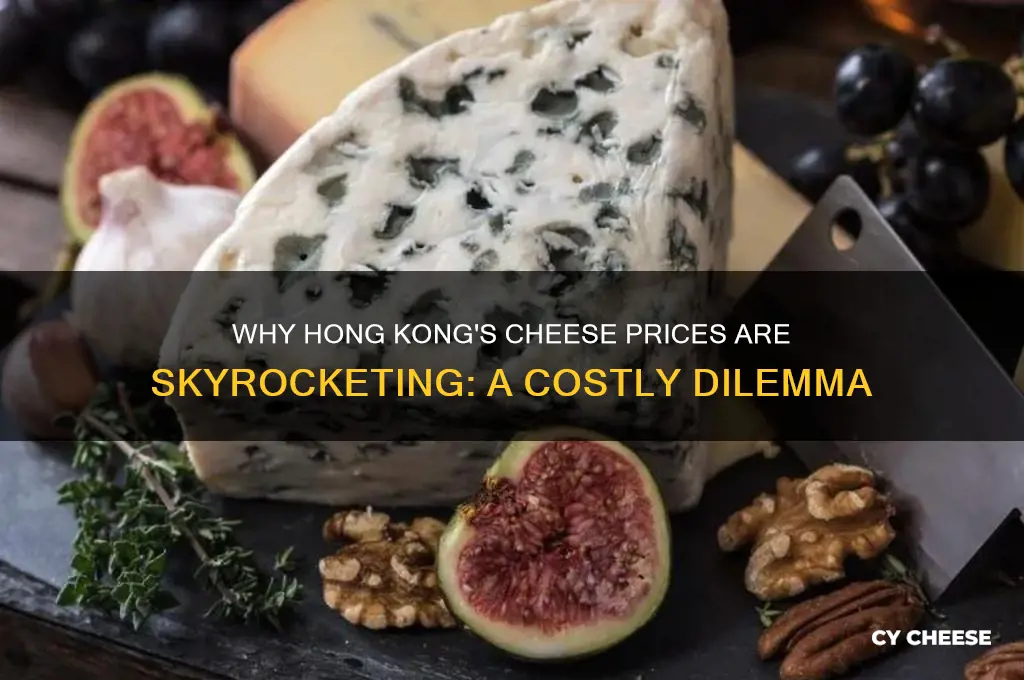 why is cheese so expensive in hong kong