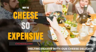Why Cheese Costs More: Uncovering the Pricey Dairy Dilemma