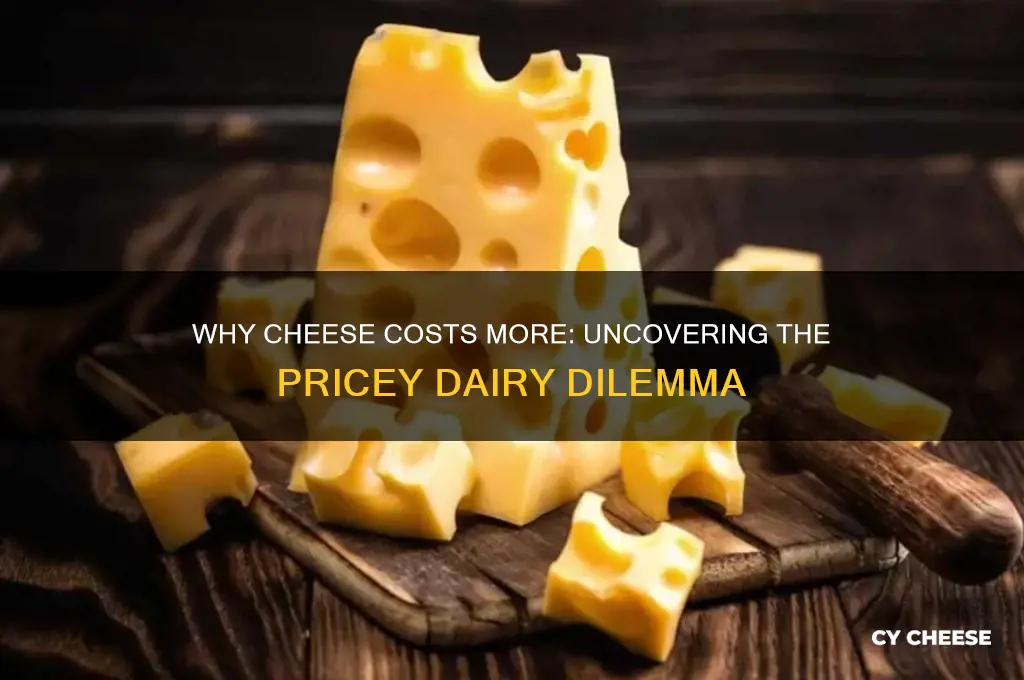 why is cheese so exxpensive