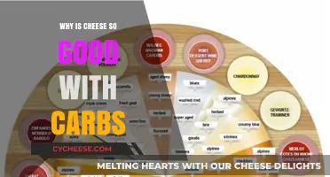 Cheese and Carbs: The Perfect Pairing Explained
