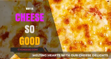 The Irresistible Allure of Cheese: Exploring Its Delicious Appeal