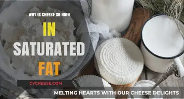 Why Cheese is Packed with Saturated Fat: The Surprising Truth
