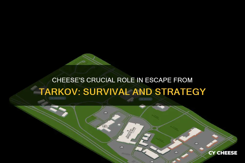 why is cheese so important in escape from tarkov