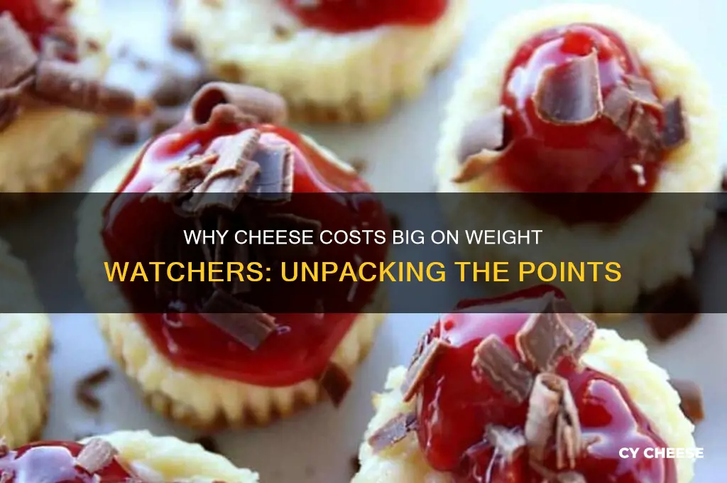 why is cheese so many points on weight watchers