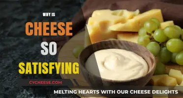 The Irresistible Allure: Why Cheese Delivers Ultimate Satisfaction