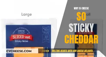 The Sticky Secret: Why Cheddar Cheese Clings to Your Tongue