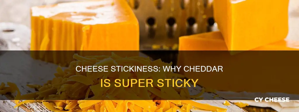 why is cheese so sticky cheddar