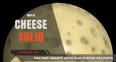 Why Cheese is Solid: Unraveling the Science Behind Its Texture