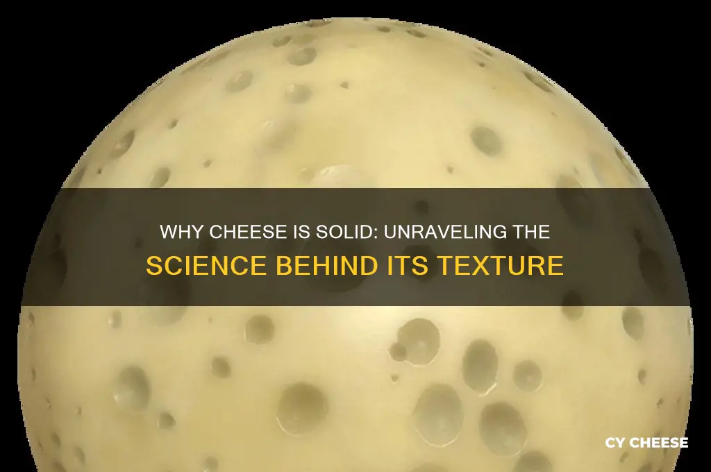 why is cheese solid
