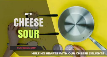 Why Cheese Turns Sour: Understanding the Science Behind the Tang