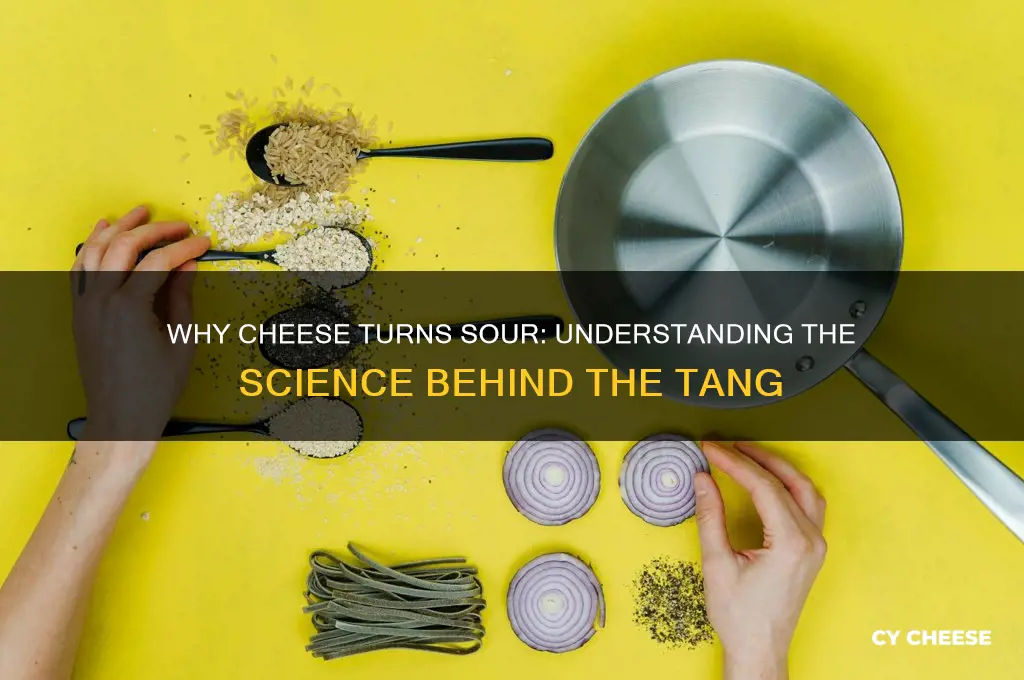 why is cheese sour