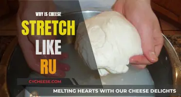 Cheese's Stretchy Science: Rubber-like Magic