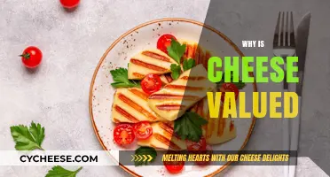 Why Cheese is a Cherished Global Culinary Treasure