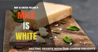 Why Cheese is Yellow: Unraveling the Mystery of White Milk
