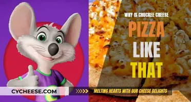 Chuck E. Cheese Pizza: Why So Distinctive?