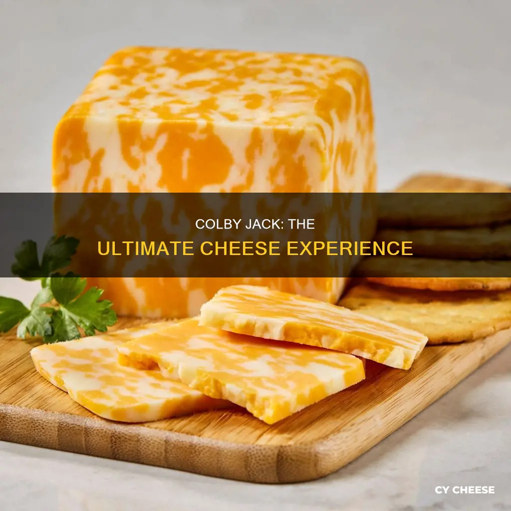 why is colby jack cheese the best cheese