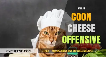 Coon Cheese: Unraveling the Offensive History Behind the Name