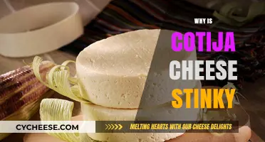 Why Cotija Cheese Smells So Strong: Uncovering Its Pungent Secrets